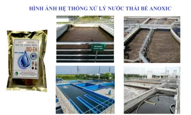 HẾ PHẨM SINH HỌC XỬ LÝ NƯỚC THẢI KHỬ NITƠ BIO-EM_N1