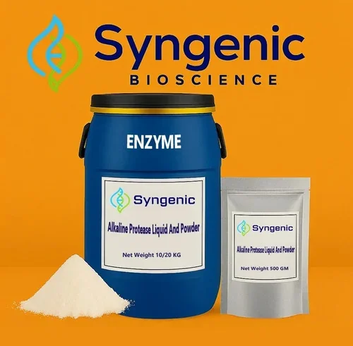 ENZYME PROTEASEA ALKALINE, ENZYME PROTEASEA 